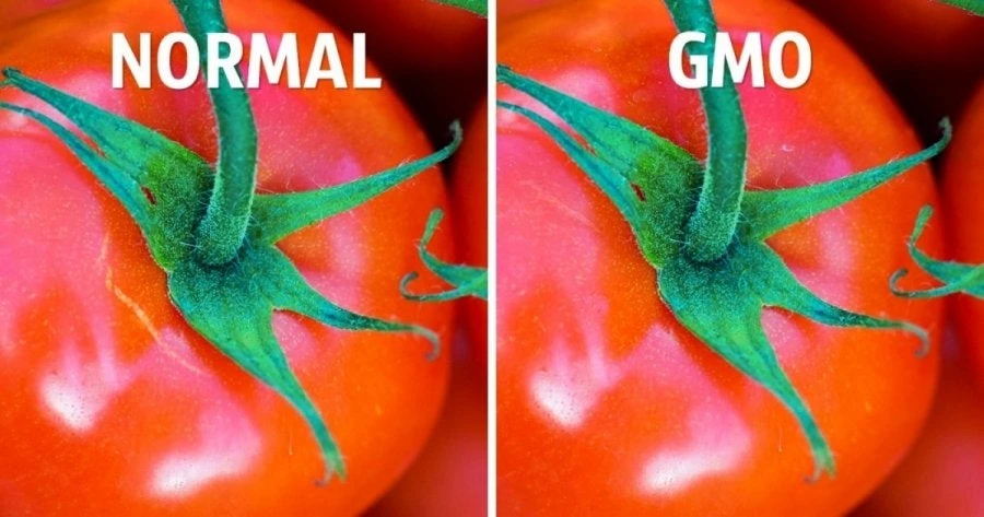 Τρεις απλοί τρόποι να ξεχωρίσετε τα οργανικά από τα μεταλλαγμένα τρόφιμα